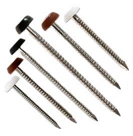 Factory directly Aluminum Trim Coil Nails -
 Polytop pins plastic head stainless steel nails for roof  – Marlene